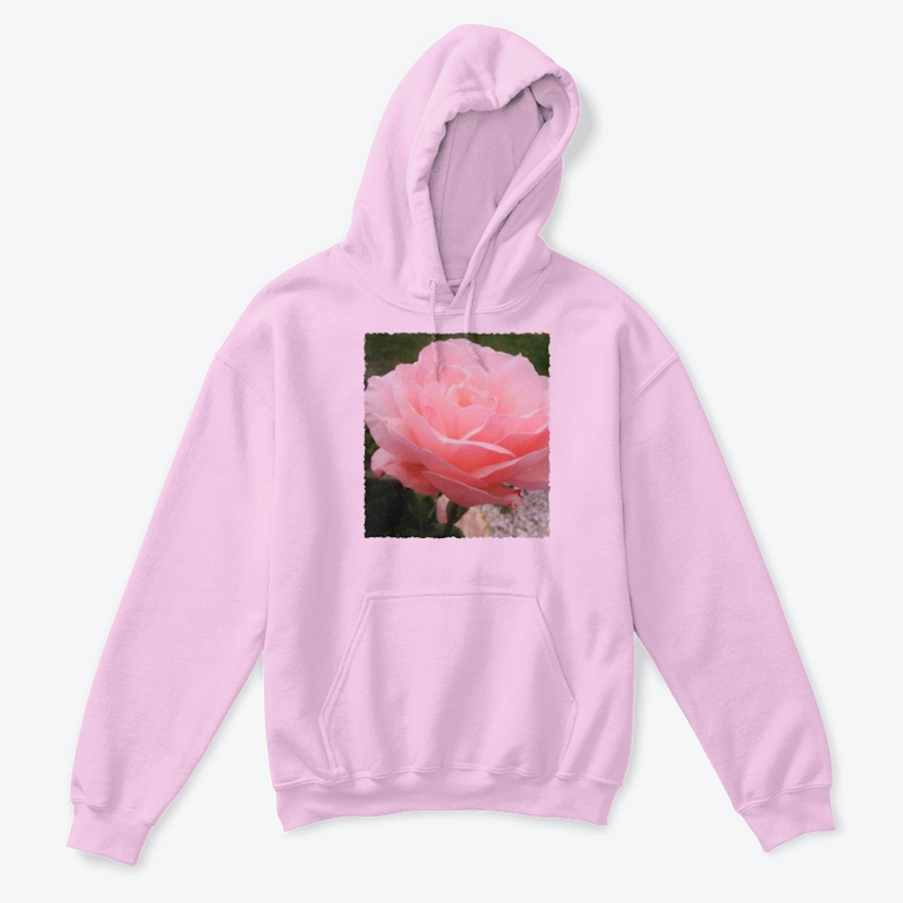 Soft Pink Rose Petals